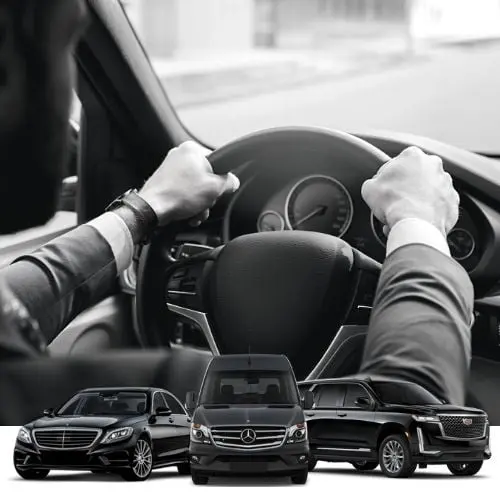 Executive Chauffeur Service