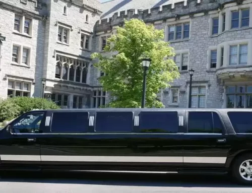 Important limousine company survey questions